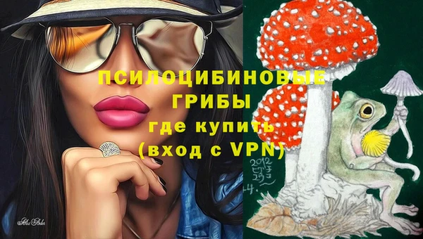 первитин Алексеевка