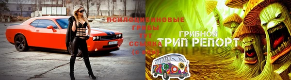 кокаин Алзамай
