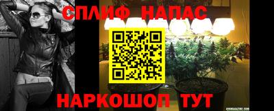 apvp Владикавказ